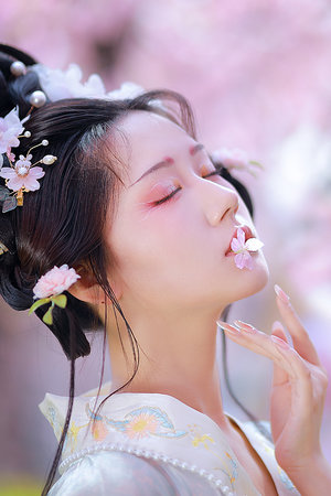 伊朗电影《空姐》